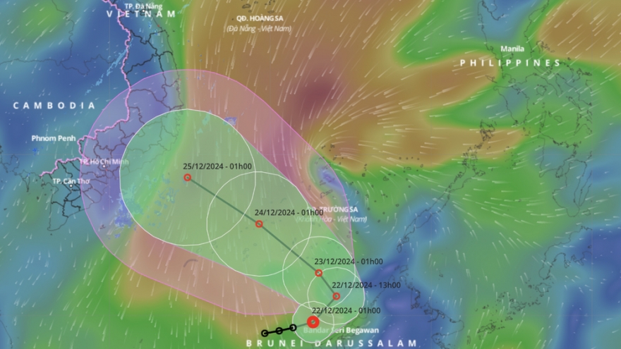 Tropical depression strengthens, moves towards South-central coast of Vietnam